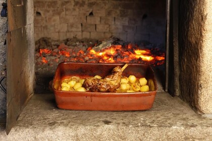 FEEL THE NATURE CRUISE