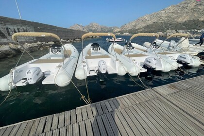 Gommone per L'Isola delle Femmine