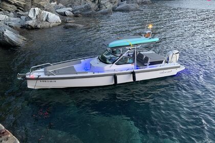 Charter Motorboat Axopar 28 T-top Roses