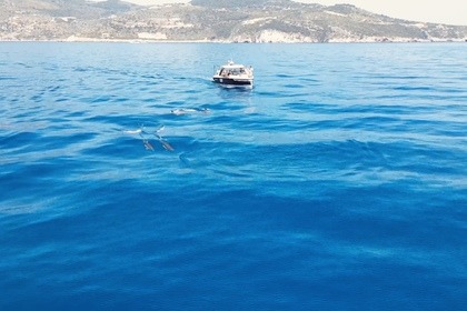 SAXDOR 320GTO „Barbara“