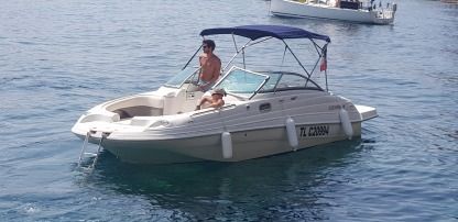 Charter Motorboat Four Winns 214 Funship Le Lavandou