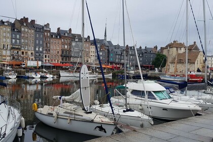 Ultramar Orque 70 QR  Sans Permis