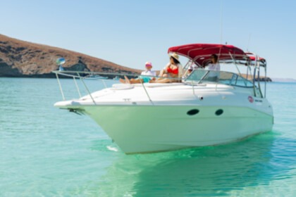 The Most Affordable Luxury Yacht in La Paz