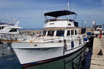 Charter Motorboat Hampton SEA LION - Hampton 42 Zadar
