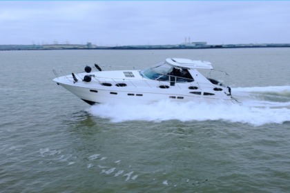 Rental Motorboat Sealine S48 Chatham