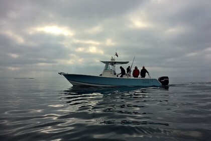 Miete Motorboot Regulator 32FS Šibenik