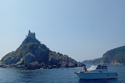 Miete Motorboot Beneteau Antares 800 Gemeinde Bar