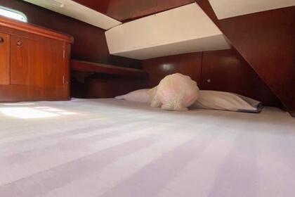 Beneteau Oceanis 50'