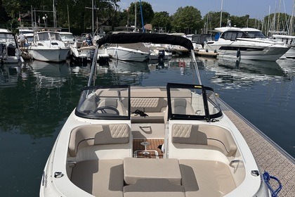 Verhuur Motorboot Bayliner Vr4 Genève