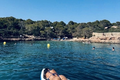 NO SE REQUIERE LICENCIA