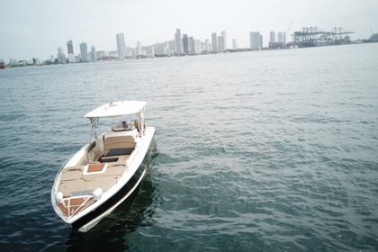 Bote deportivo de lujo hasta 20 personas