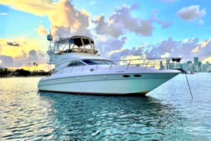 Alquiler Lancha WINTER PRICES ARE HERE!!! 45 Ft Luxury Cruiser - Includes Refreshments Miami