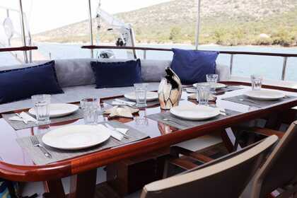 MT-41 15METERS 2CABINS