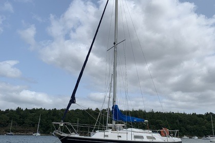 Location Voilier Conyplex Contest 29 Sainte-Marine