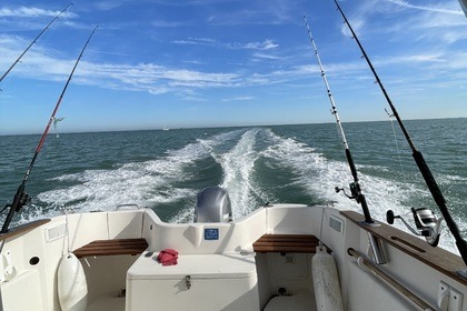 Quicksilver 580 Pilothouse – Balades et Pêche pour Navigateurs Expérimentés