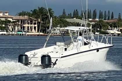 Hire Motorboat Powercat Powercat 30 Palm Beach