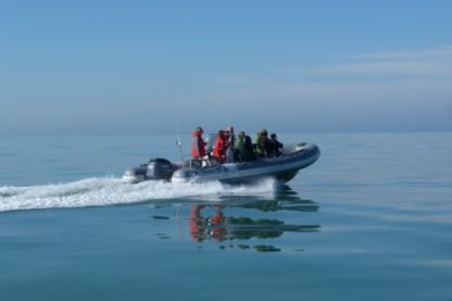 Location Semi-rigide Capelli Tempest 750 Charter Granville