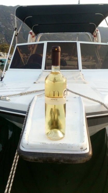 Location Bateau à moteur Poseidon Poseidon Kamena Vourla