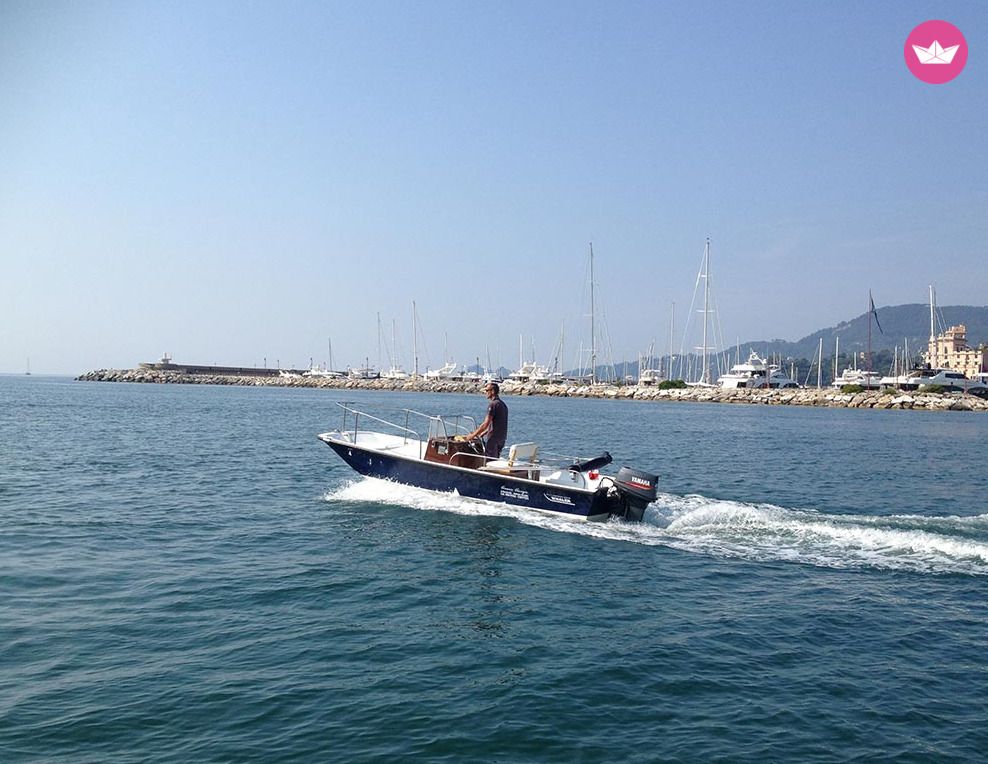 Bateau sans permis Boston Whaler Boston 17 40cv 6