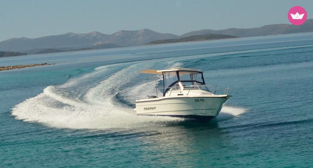 Bayliner Trophy 1802 in Ugljan  