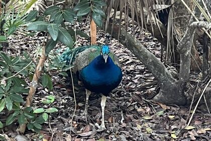 Discover the beauty of crystal clear waters and experience the magic of our paradise.