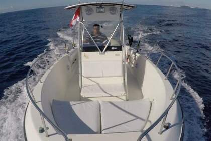 Rental Motorboat Proline 20ft Cozumel