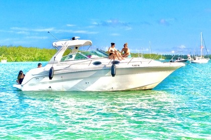 Rental Motorboat Monterey Cruiser 330 Miami Beach