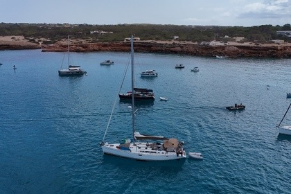 Jeanneau Performance 49 – Elegance, Comfort, and Speed in Perfect Balance