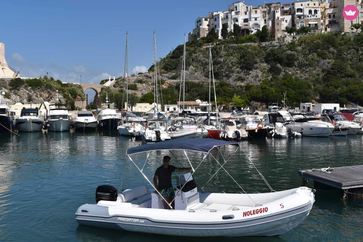 Semi-rigide Italboat Predator 599 n.42 40cv