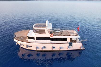 Custom Built motor boat / Trawler 2017 model