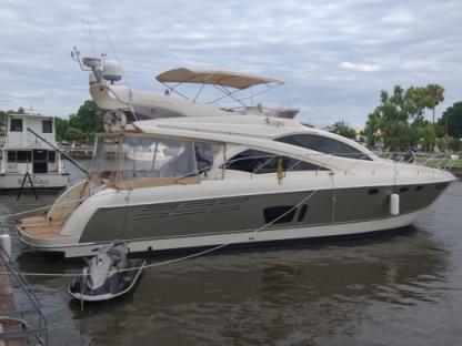 Location Bateau à moteur Segue 55 Pies Tigre