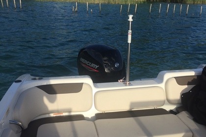 Bayliner element e7