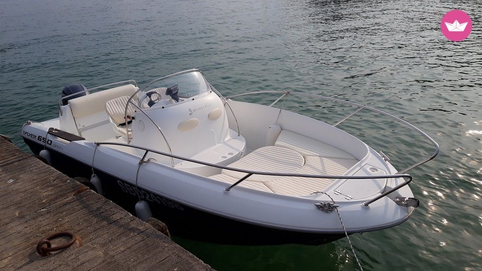 Bateau à moteur Beneteau Flyer 6.5 175cv