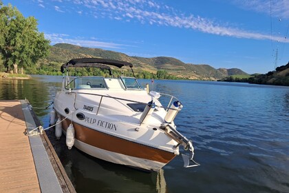 Rental Motorboat Stingray 729 ZP Pocinho