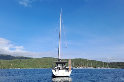 Polygala - Dufour 37