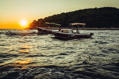 Noleggio Barca senza patente  Pasara Istranka Rogosnizza