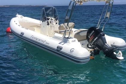 Capelli tempest 600 40cv 2023