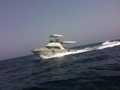 Charter Motorboat Bertram 28 Fly Stintino