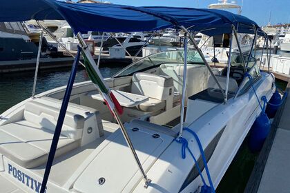 Searay Sundecker