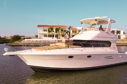 Aluguel Lancha Silvertone 440 flybridge Mazatlán