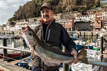 Charter Motorboat Jeanneau Merry Fisher Donostia-San Sebastian