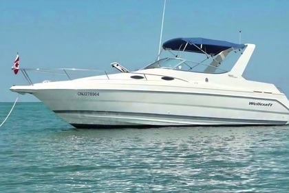 Чартер RIB (надувная моторная лодка) Wellcraft Martinique 2600 Фрежюс