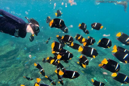 Puerto Vallarta 57' Catamaran ChicaFun5