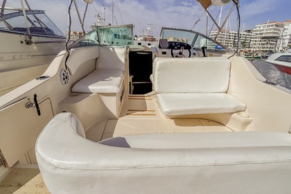 Sea Ray 240 Sundancer