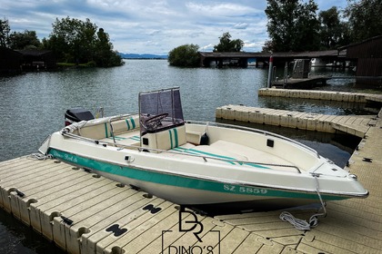 Charter Motorboat Giluliano Portofino 565 Open Pfäffikon District