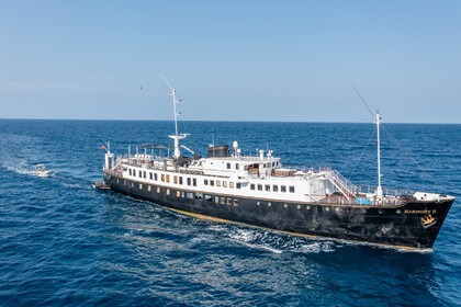 Location Yacht à moteur Brodogradilista Uljanik Casco Acero Ibiza