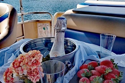 Rental Motorboat Pontoon Boat Sweetwater 2486 C Castelo de Paiva