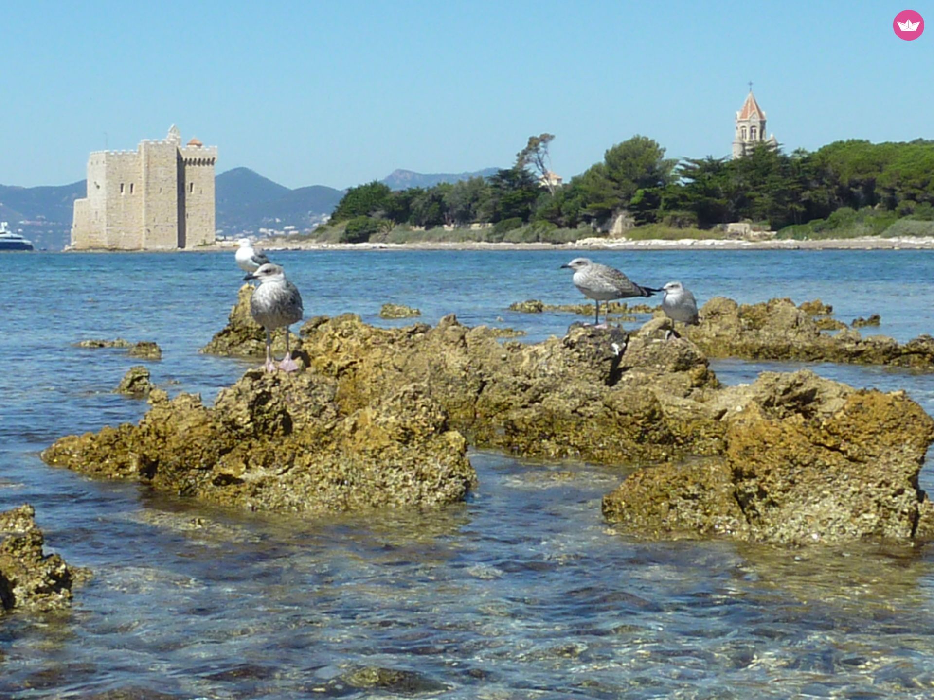 Kirie - Feeling Feeling 32 à Antibes de particuliers et professionnels