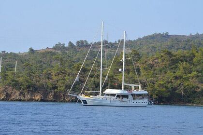 Rental Gulet gulet gulet Bodrum