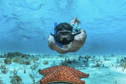 5⭐️ Sea Ray 24’ 2022. All inclusive